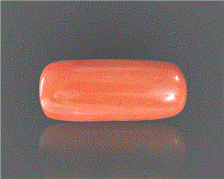 Natural Coral  8.18RTS-27797